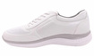 Obuwie damskie sportowe sneakers